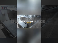 2 tấn / giờ đường hầm tủ đông lạnh nhanh