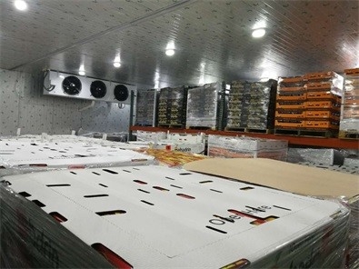 Kho bảo quản thực phẩm R404a Tủ lạnh lớn Phòng lạnh 5000 tấn Thịt Kho lạnh