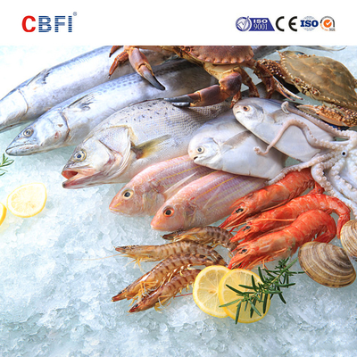 Tủ đông xoắn ốc đôi nhanh bằng thép không gỉ cho máy cấp đông Iqf cấp đông công nghiệp